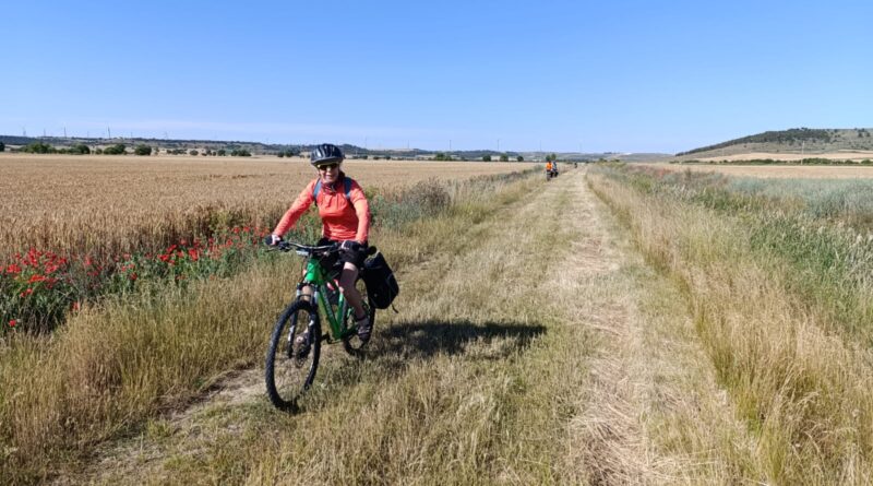 Canal de Castilla 2026 (Ruta de los castillos)